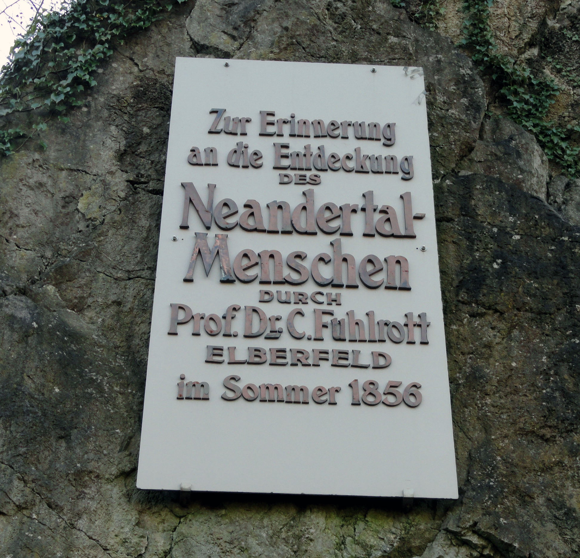 Neandertalac Neandertal Nemacka